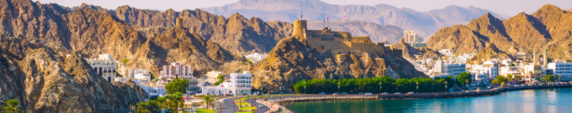 Shutterstock 1012269667