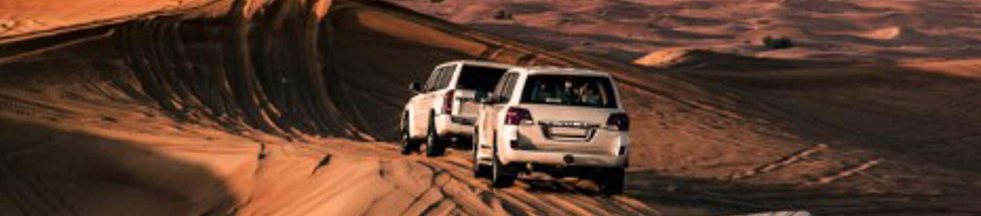 Dubai City, Desert & Beach