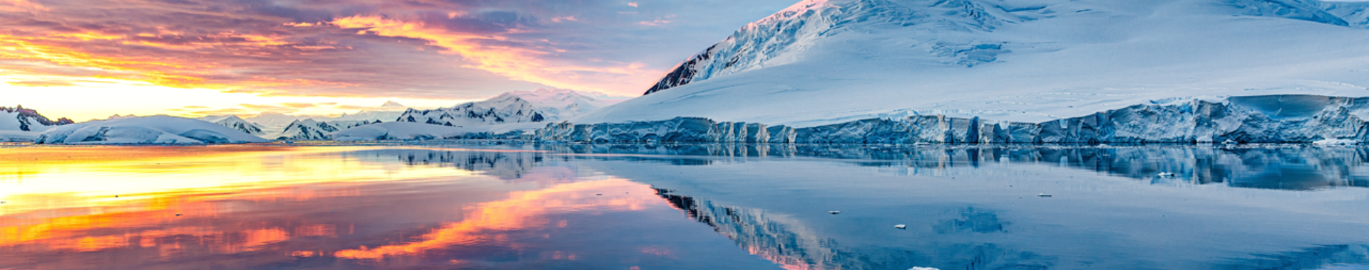 Screenshot 2026 02 09 160814