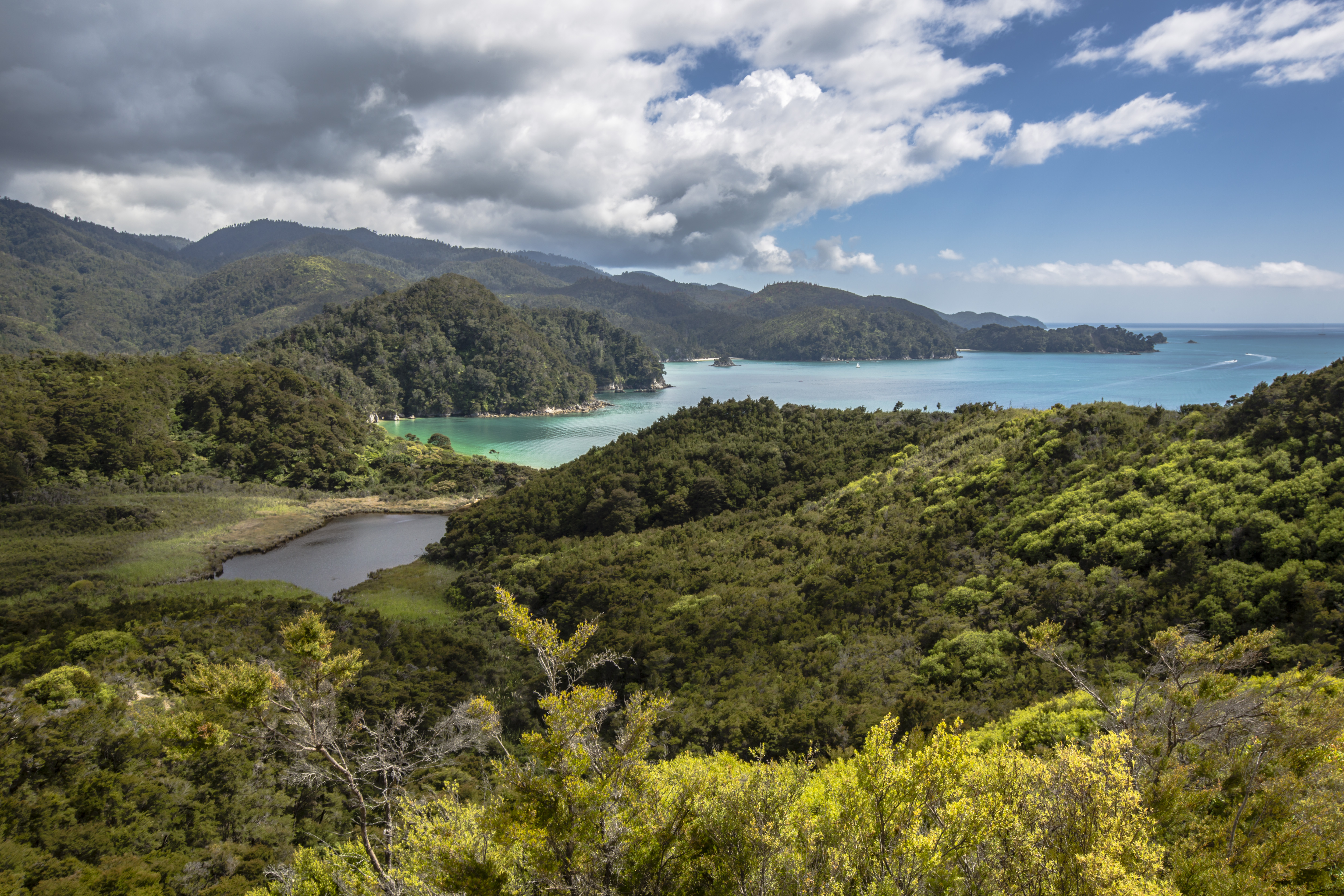 New Zealand Abel Tasman National Park Vista Hike