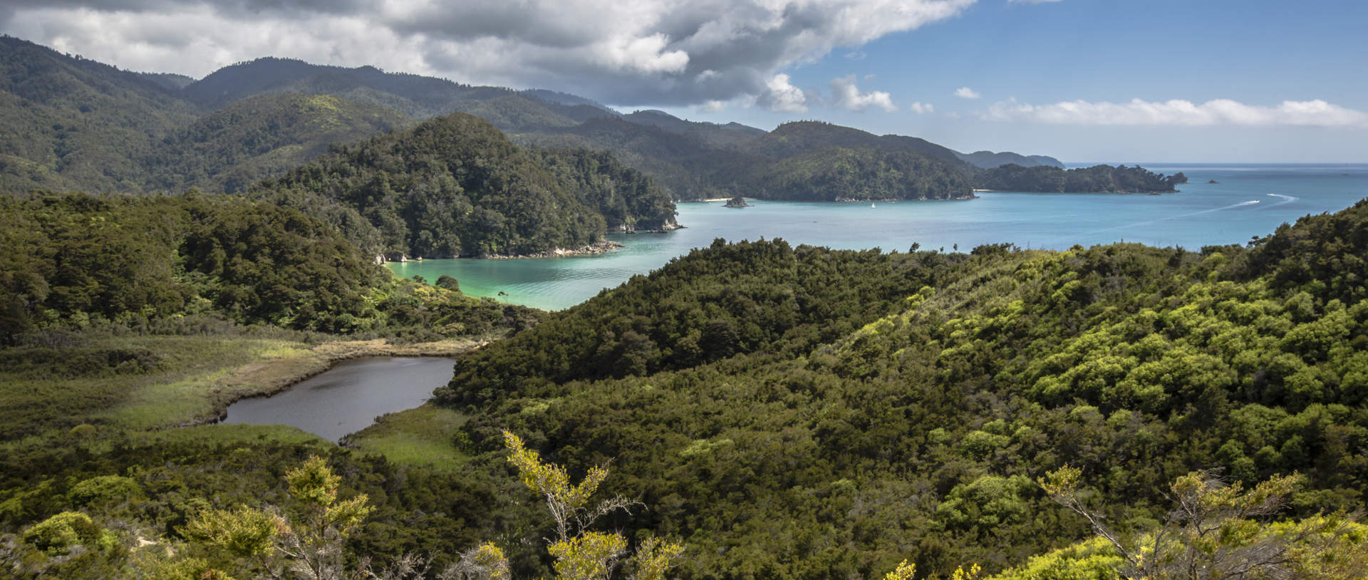 New Zealand Abel Tasman National Park Vista Hike