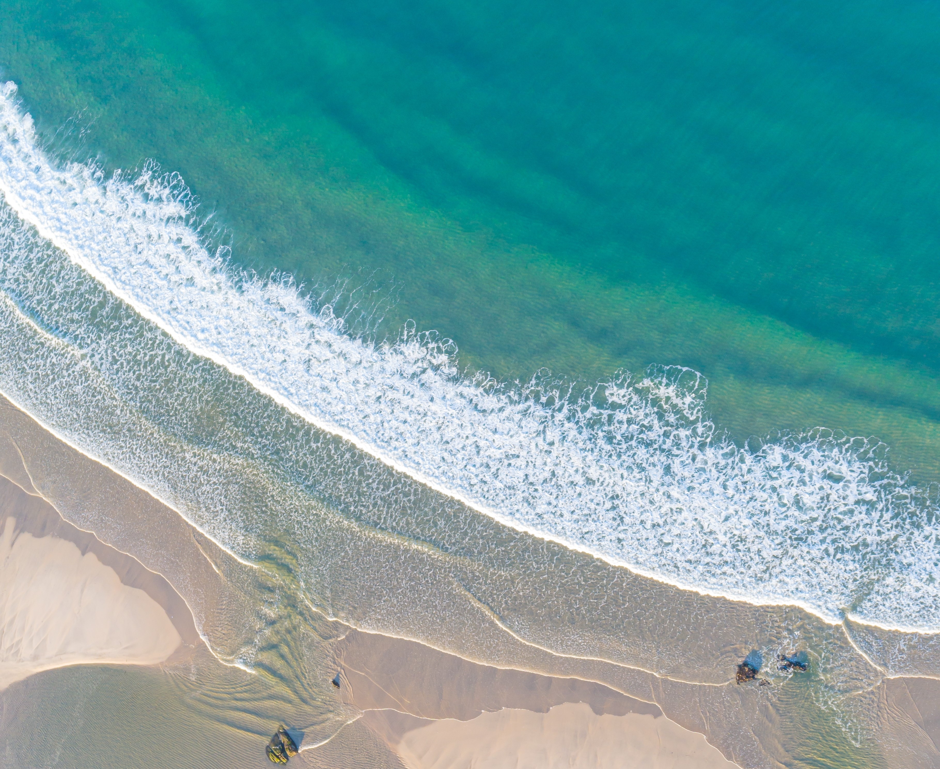 Shutterstock 2450066675