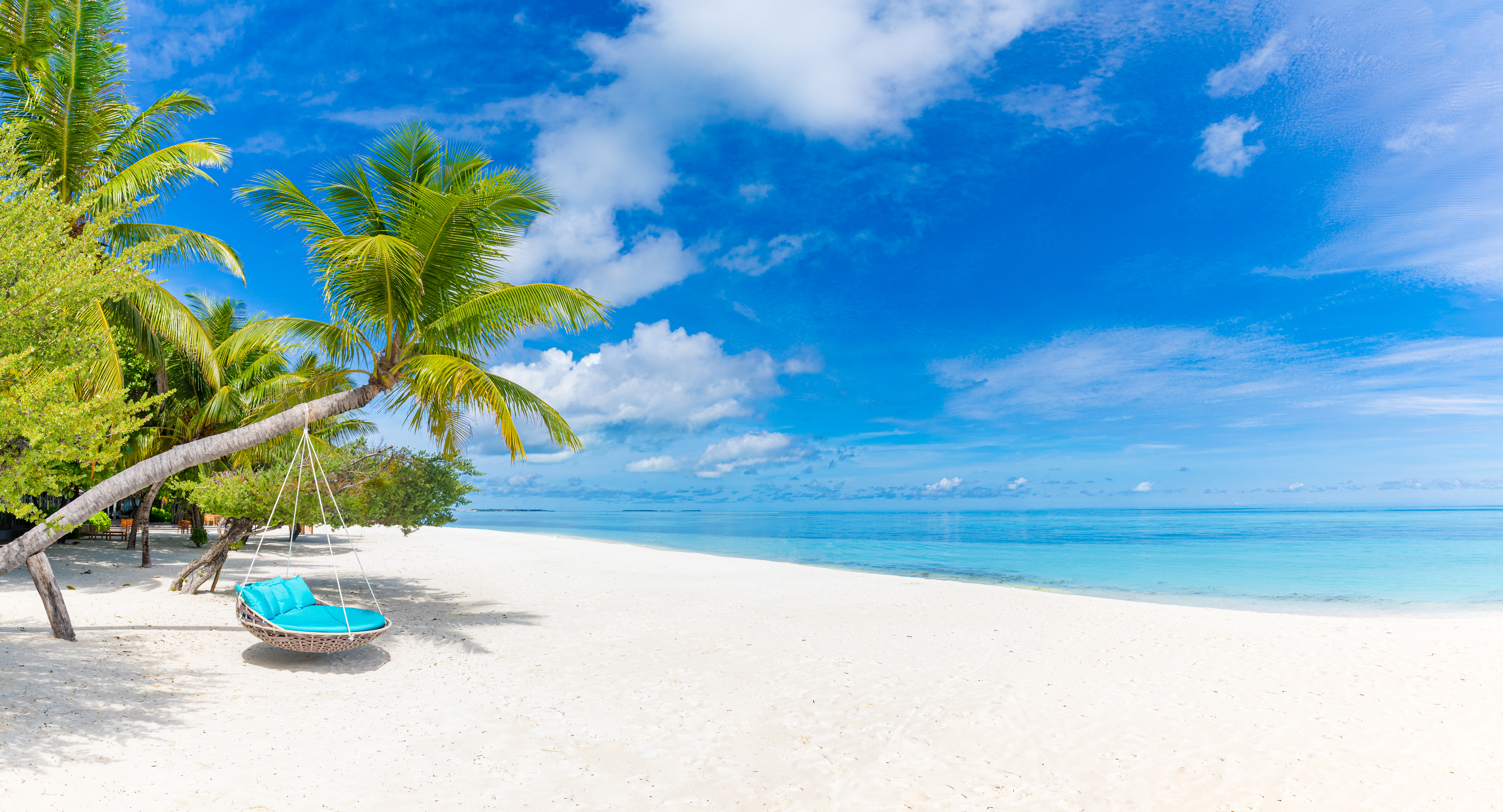 Tropical Beach Background As Summer Relax Landscape With Beach Swing
