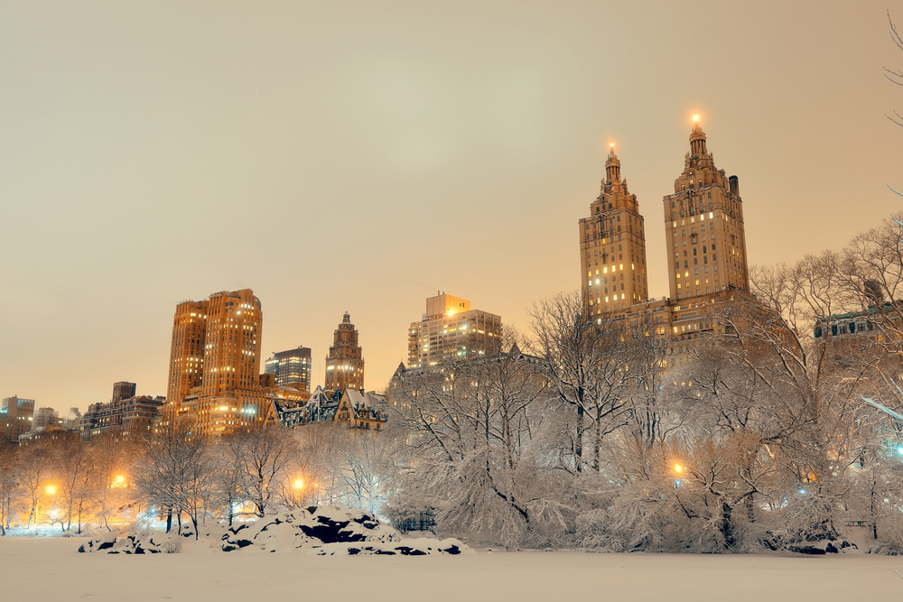 Central Park In Winter, New York