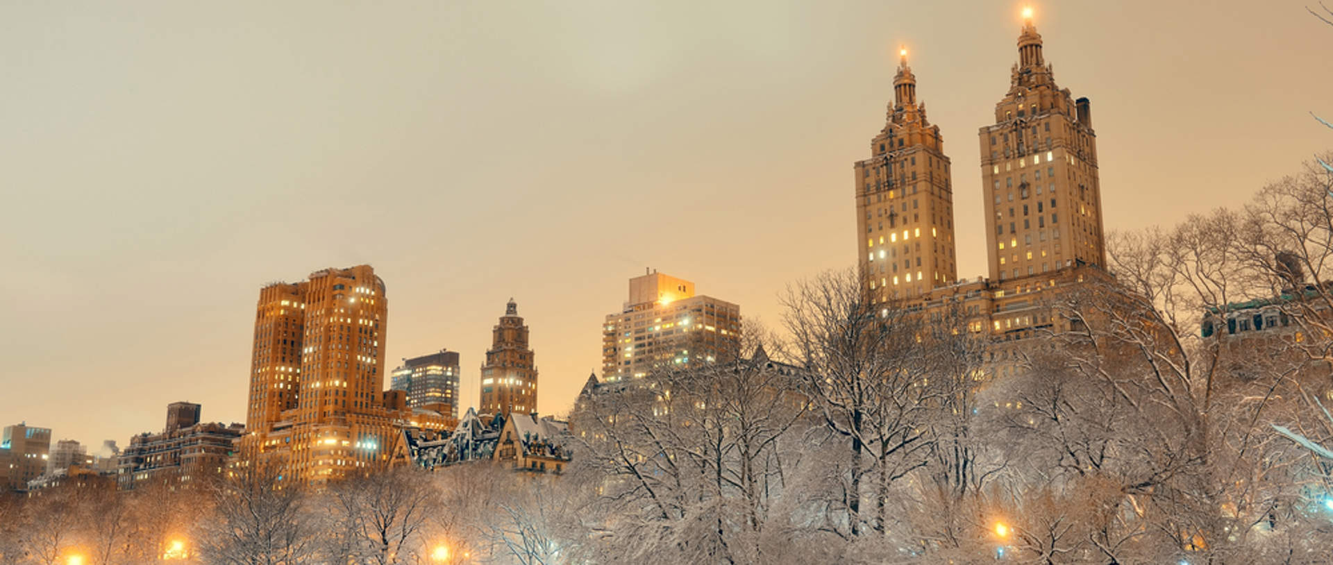 Central Park In Winter, New York