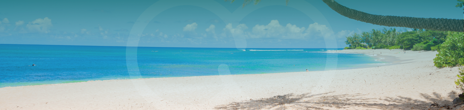 Coho Homepage Peaks Beach Hero (1)