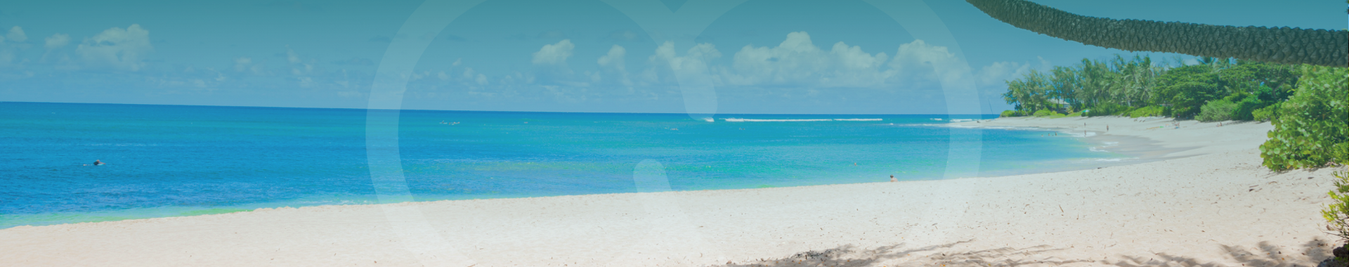 Coho Homepage Peaks Beach Hero (1)