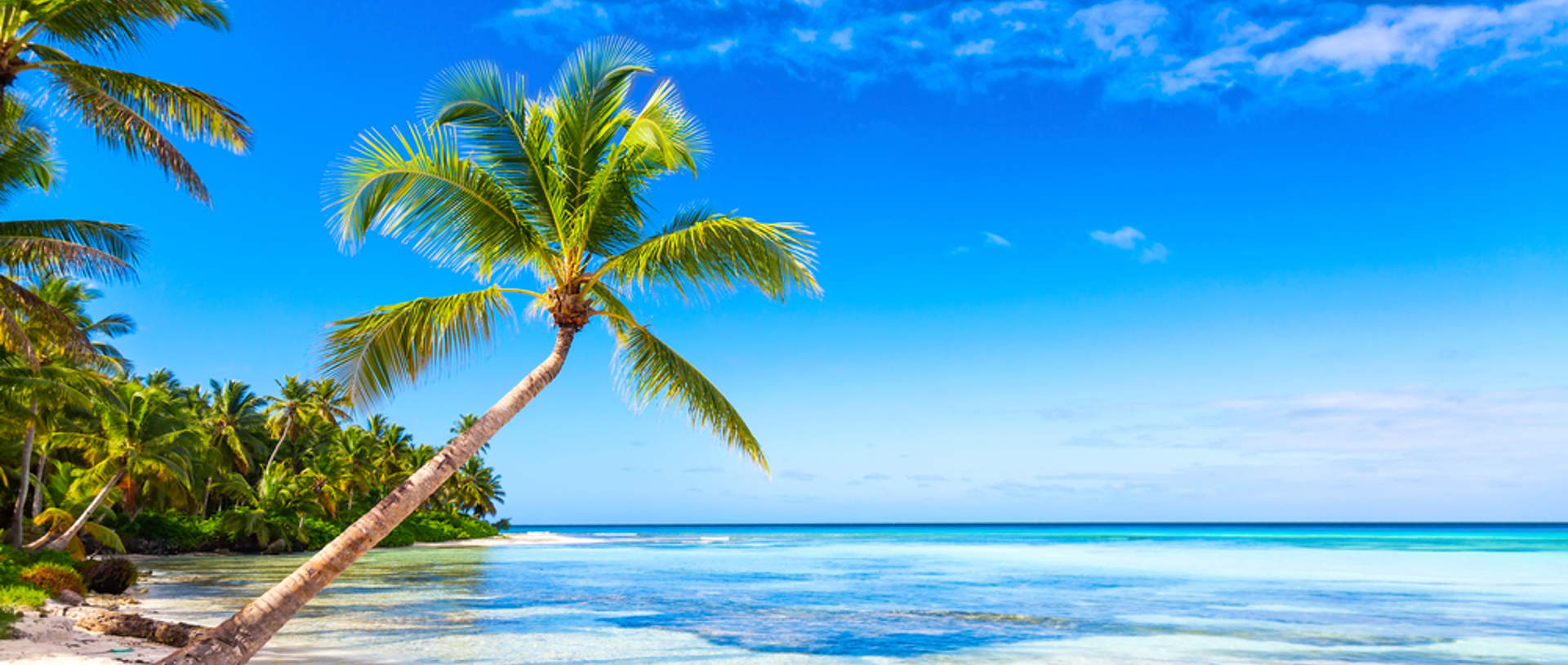 Saona Island Dominican Republic Caribbean