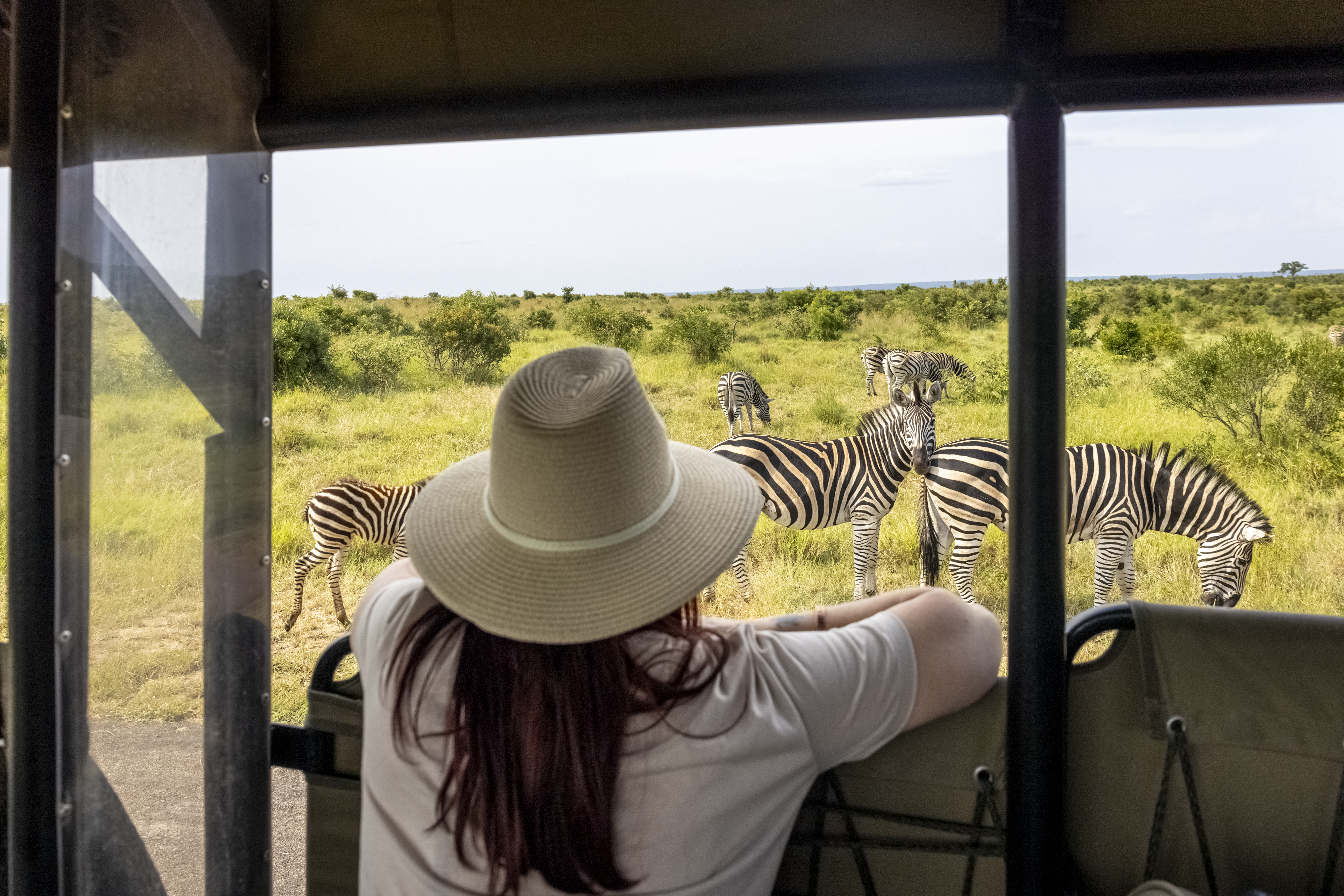 20240204 Coopholidays Kruger Gamedrive 0062 JPG