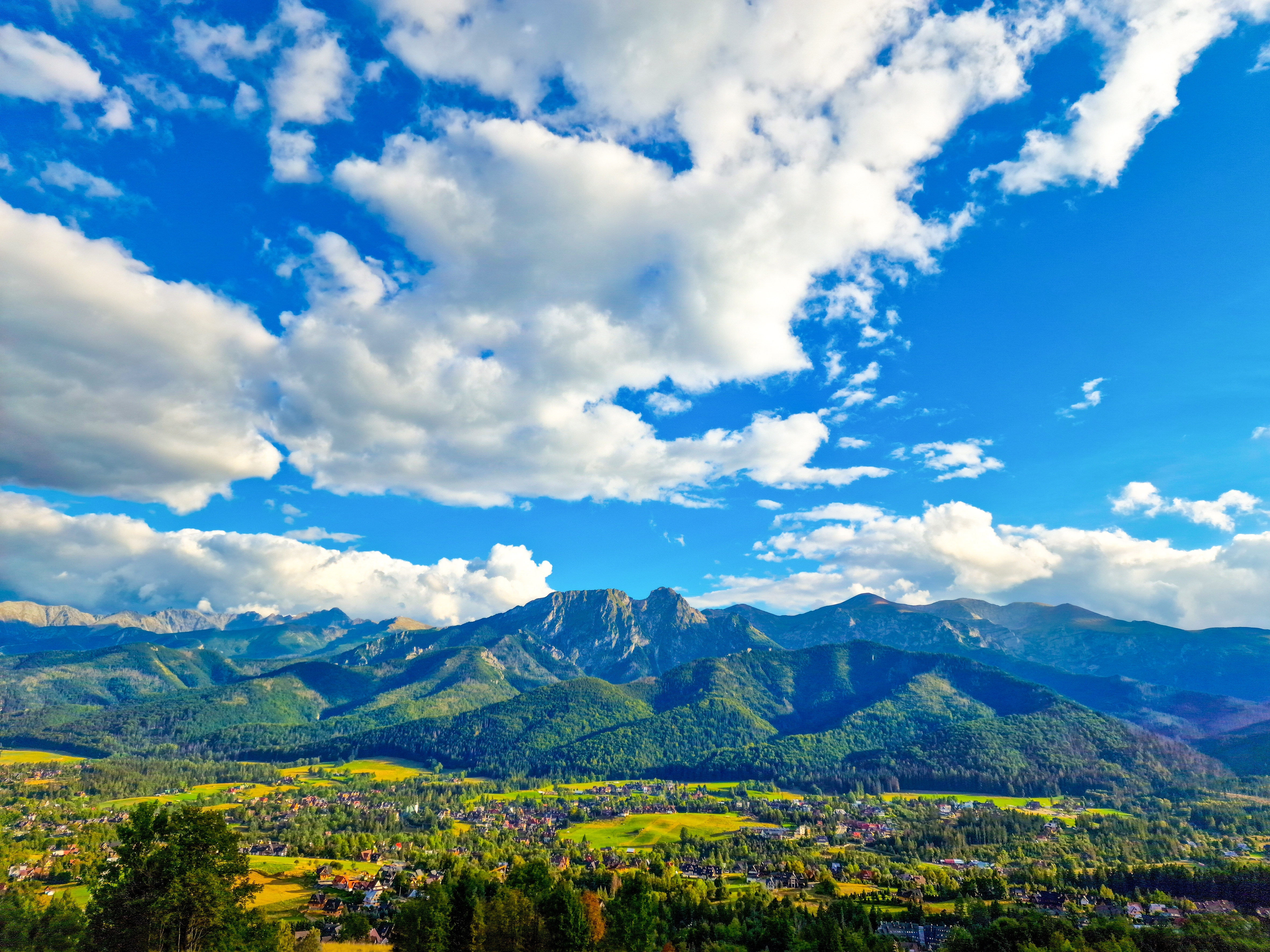 Shutterstock 2365260017