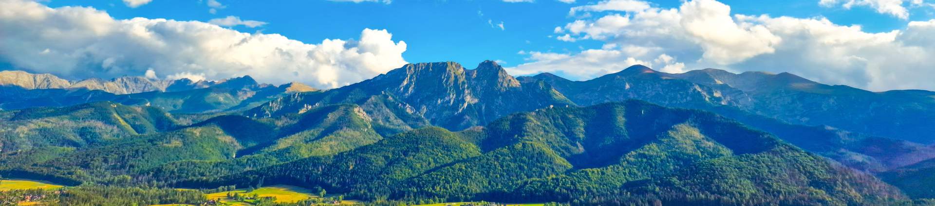 Shutterstock 2365260017