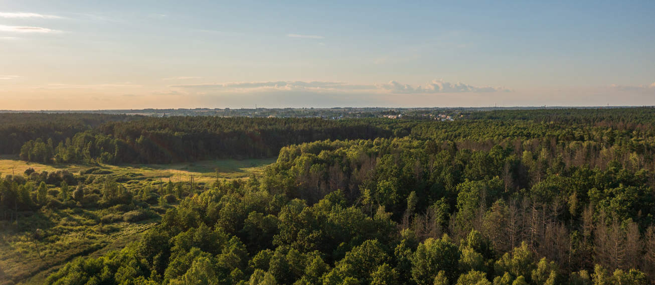 Polish Part Of Bialowieza Forest To Hajnowka Aerial View Poland
