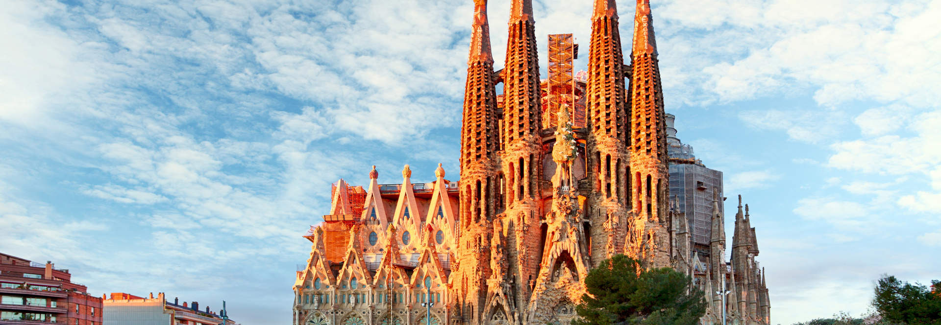 Sagrada Familia Cathedral Barcelona (1)