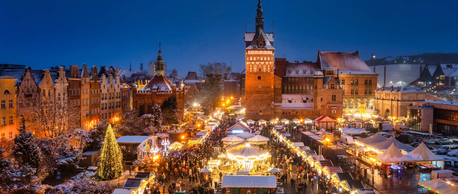 Shutterstock 2391454001