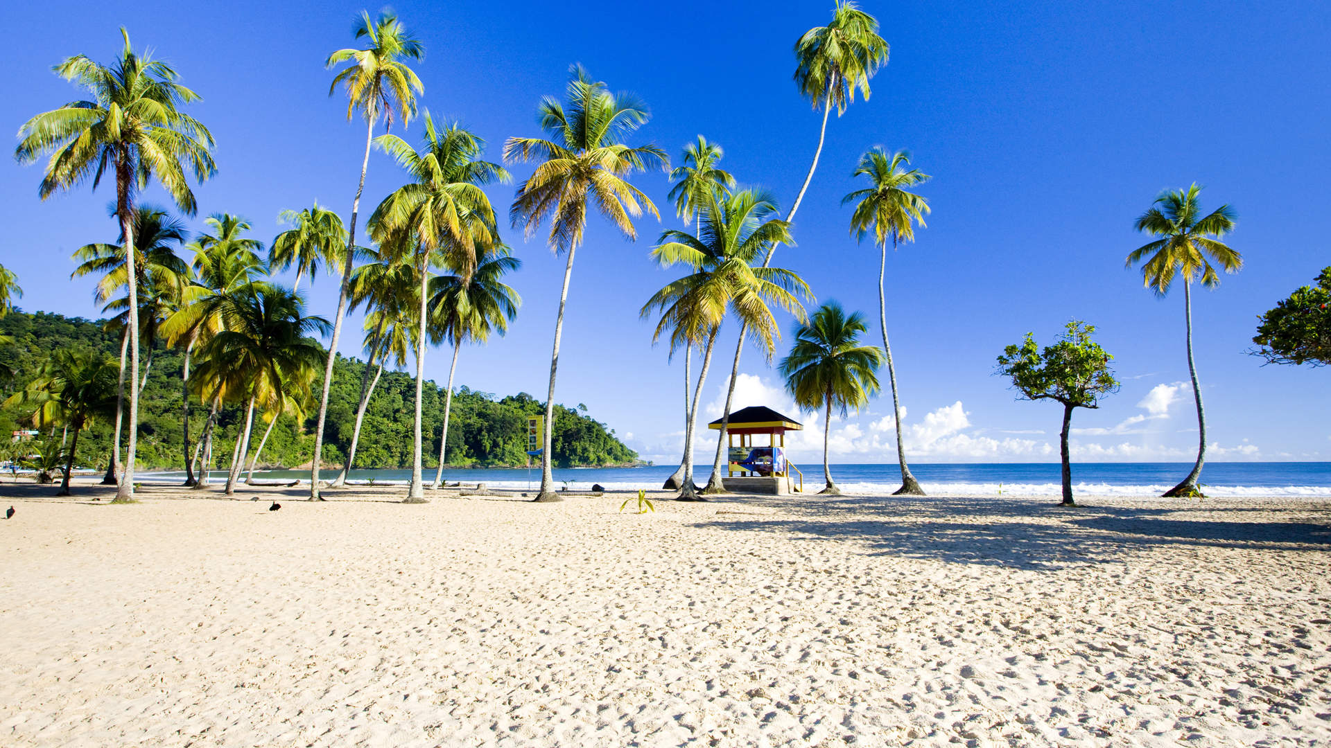 Maracas Beach Trinidad And Tobago (1)